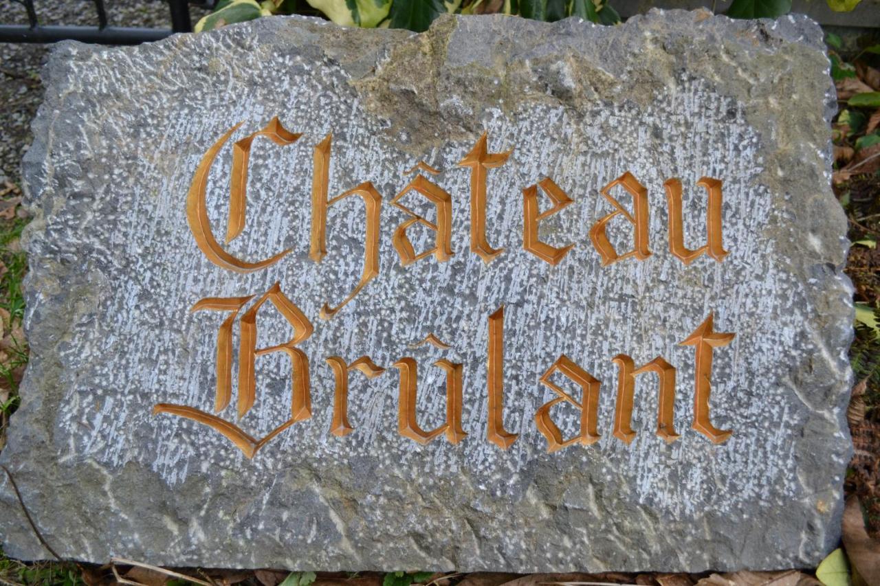 Chateau Brulant Somme-Leuze Екстер'єр фото